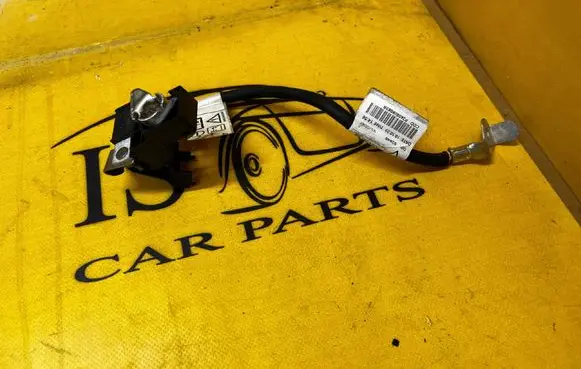 Dacia Sandero III Negative earth cable (battery) 240808883R 250820499R