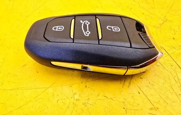 Peugeot 5008 Ignition key/card 9842119480