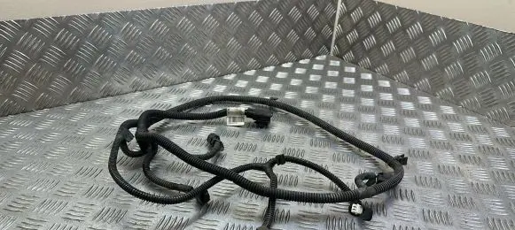 Peugeot 3008 I Parking sensor (PDC) wiring loom 2005232
