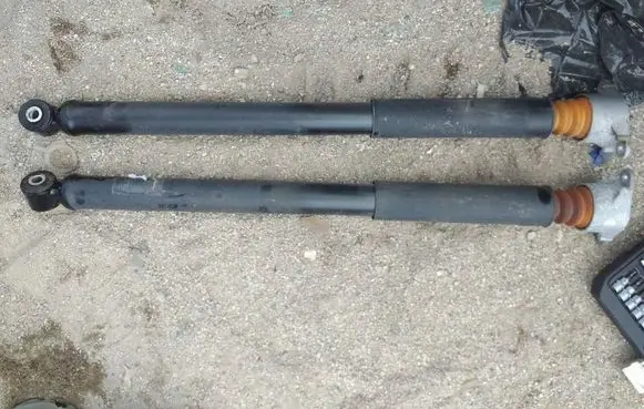 Ford Ecosport Rear shock absorber/damper brak