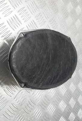 Chrysler Grand Voyager V Front door speaker 05091019AB