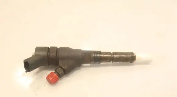 Fiat Ducato Fuel injector 0445110044