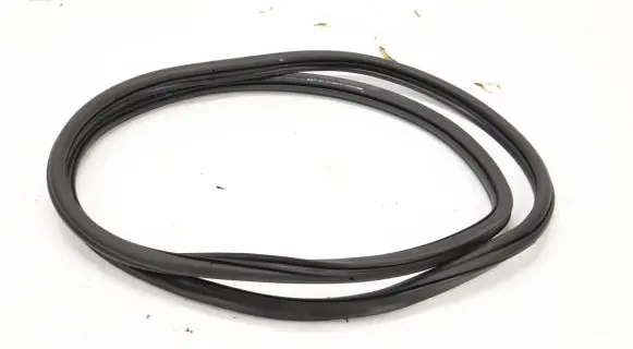 Volkswagen Golf VIII Rubber seal front door (on door) 