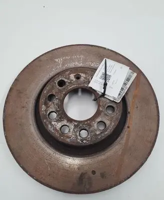 Volkswagen Golf V Front brake disc 1K0615301