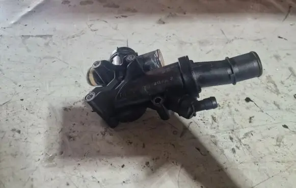 Thermostat/thermostat housing