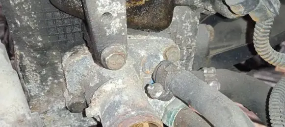 Fiat Punto (188) Engine coolant pipe/hose