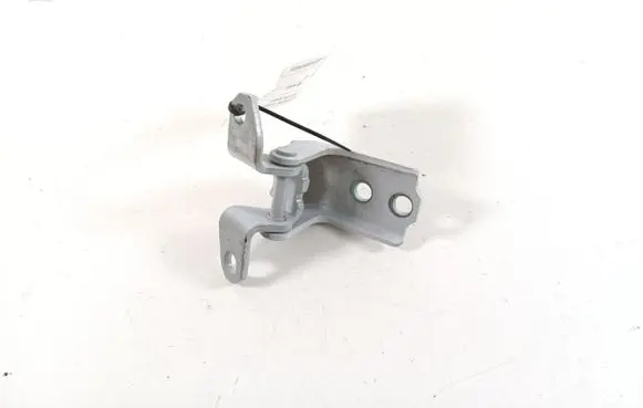 Rear door lower hinge