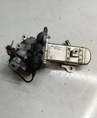 EGR valve cooler