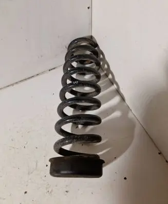 Rear coil spring