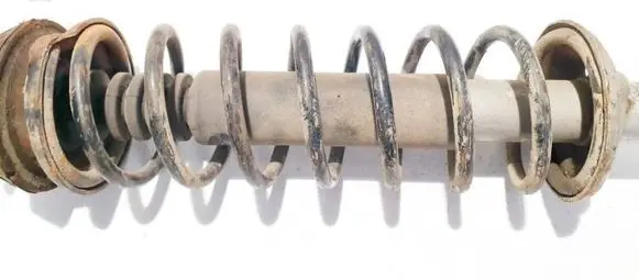 Rear coil spring