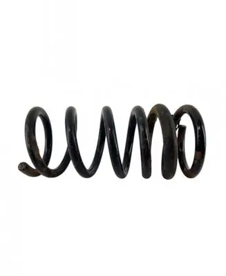 Mitsubishi Pajero Rear coil spring
