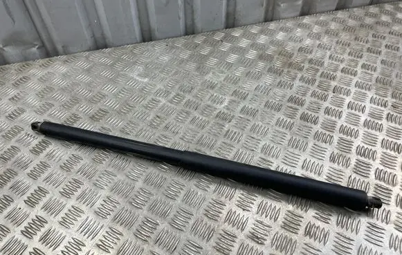 Tesla Model S Tailgate/trunk strut/damper 961980
