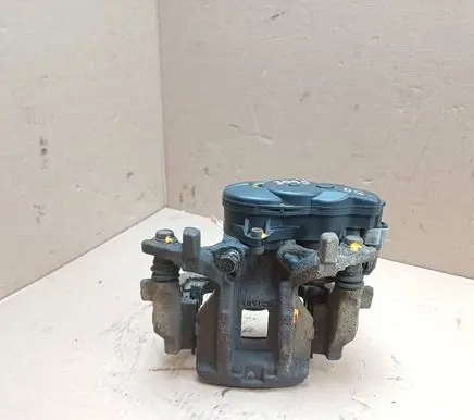 Toyota C-HR I Rear brake caliper 4631078010