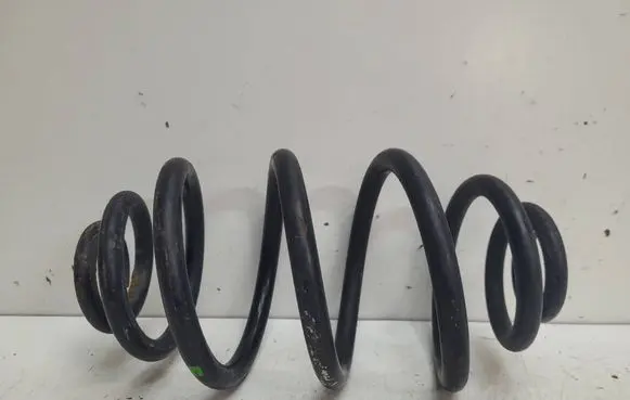 Volkswagen PASSAT B5 Rear coil spring