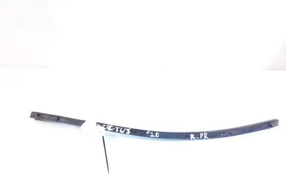 Citroen C4 Cactus Rubber seal front door (on door) 