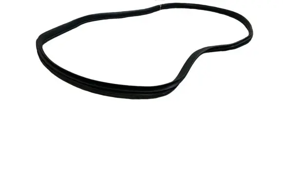 KIA EV6 Rear door rubber seal (on body) 