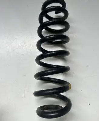 Rear coil spring
