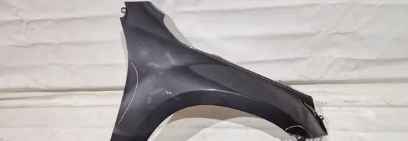 Suzuki Grand Vitara II Fender