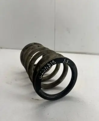 Mitsubishi Grandis Rear coil spring