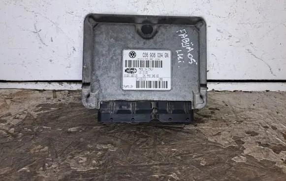 Skoda Fabia Mk1 (6Y) Engine control unit/module 036906034GN 4MV0055160 3Y1V3DCCD