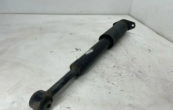Dodge Challenger Rear shock absorber/damper 68072163AC P68072163AC 894124151