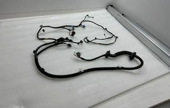 Other wiring loom