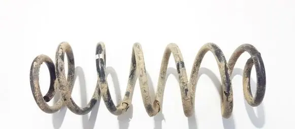 Volkswagen Golf V Rear coil spring