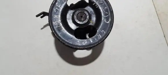 KIA Carnival Power steering pump
