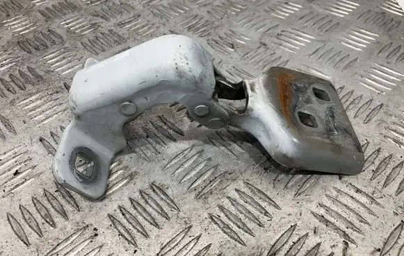 Renault Master III Front door upper hinge 804000006R