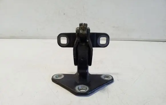 BMW X5 F15 Tailgate hinge 7352697