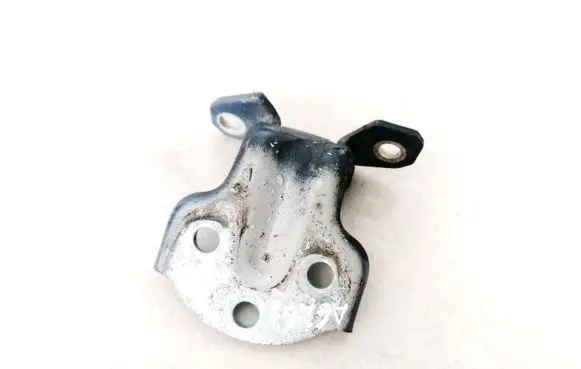 Rear door lower hinge