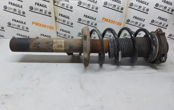 Volkswagen PASSAT B6 Front shock absorber/damper 1T0413031EJ