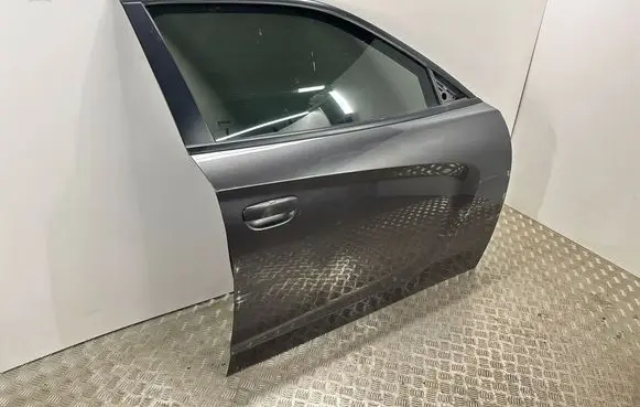 Dodge Charger Front door P68293952AB