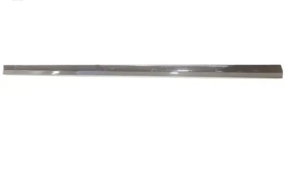 Mercedes-Benz CL C215 Front door trim (molding) A2036903082