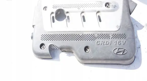 Hyundai Elantra Engine cover (trim)