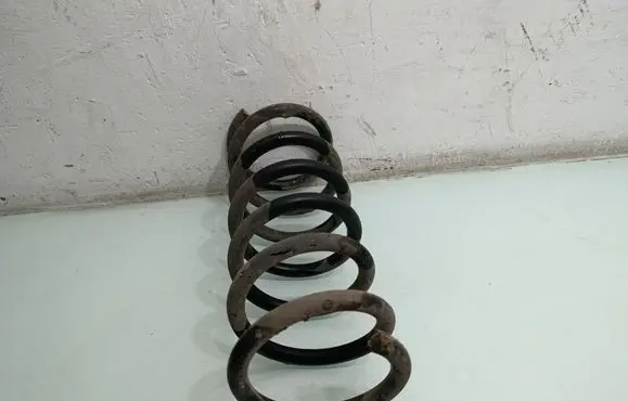 Rear coil spring