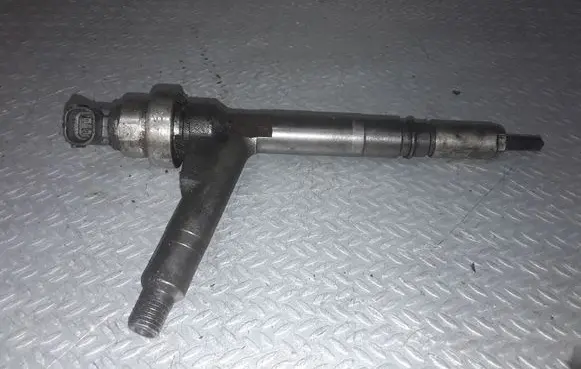 Opel Meriva A Fuel injector 8973138612