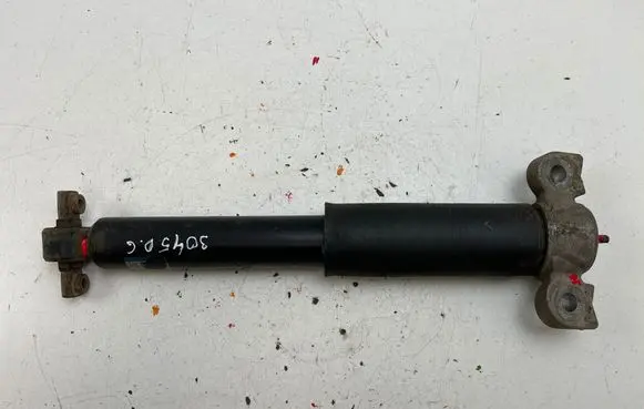Ford Mustang VI Rear shock absorber/damper 