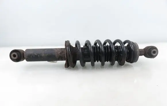 Peugeot 407 Rear shock absorber with coil spring 
