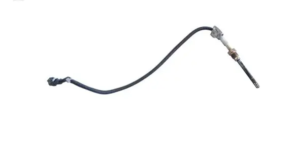 Mercedes-Benz S C217 Oil temperature sensor 411869303992