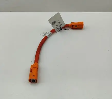 Audi E-tron GT Other wiring loom 9J1971061A
