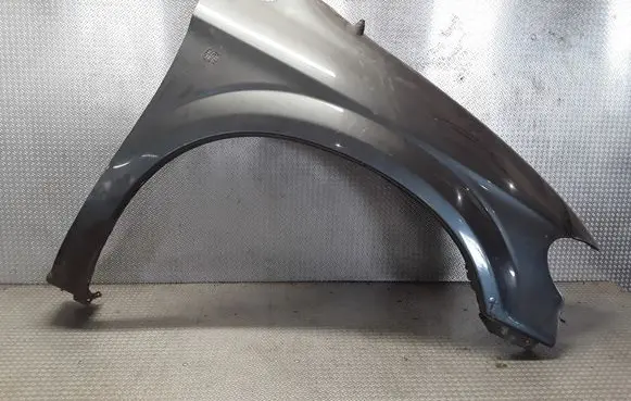 Chrysler Town & Country IV Fender