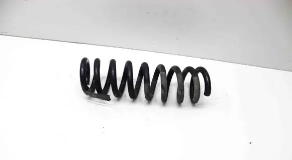 Rear coil spring