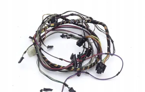 BMW X5 E53 Other wiring loom 990110F