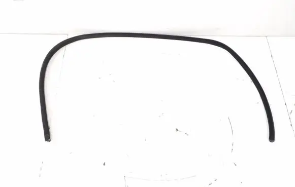 Mercedes-Benz CL C216 Front door rubber seal A2166970151
