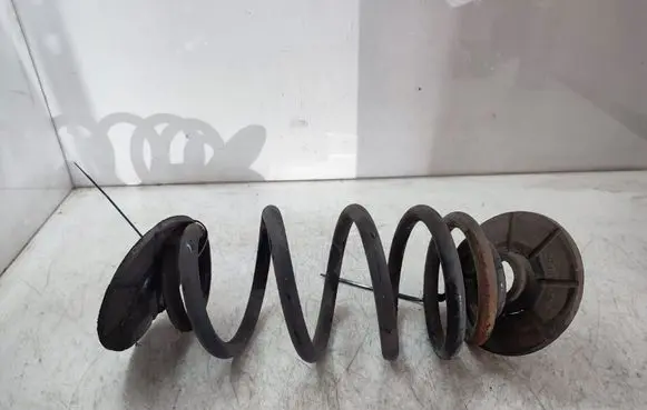 Rear coil spring