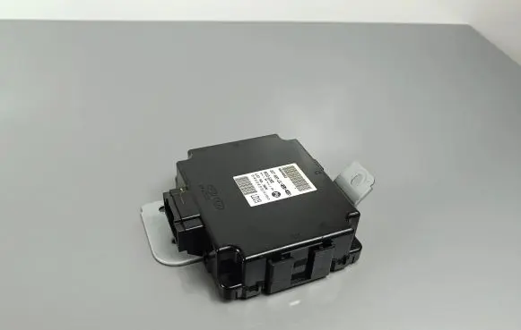 Hyundai Santa Fe Other control units/modules 95310S1900