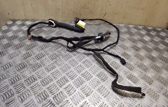 Chevrolet Captiva Rear door wiring loom 20980137