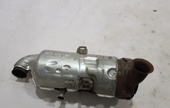 Peugeot 308 Catalyst/FAP/DPF particulate filter 9841854880