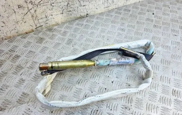 BMW 5 E39 Roof airbag 84700000904G
